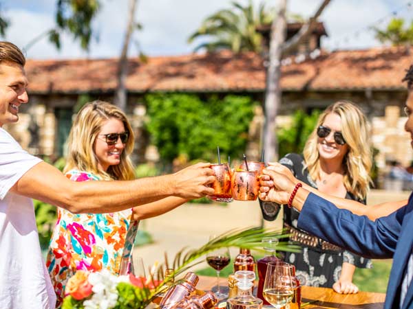 Friends Toasting.