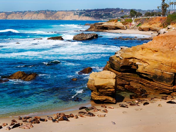 La Jolla Cove.