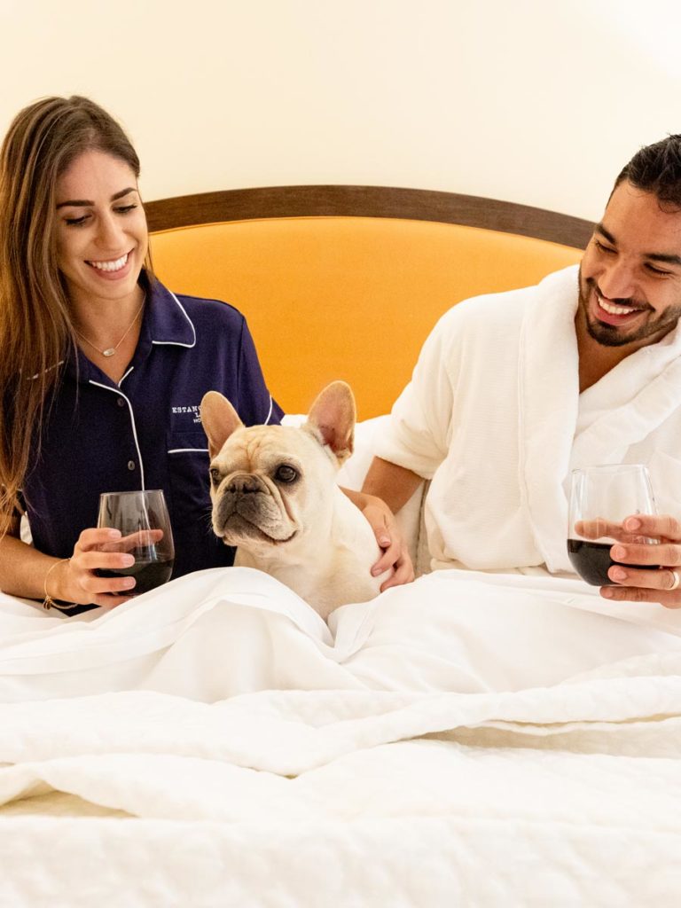 Couple In Bed With Their Dog And Wine.