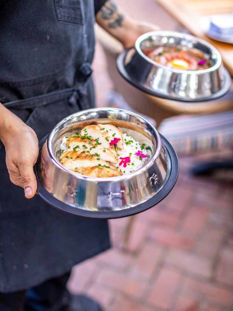 waiter with dog food