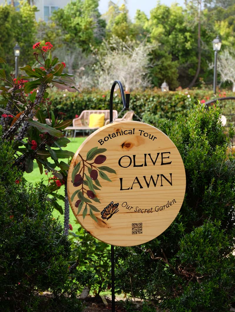 olive lawn sign