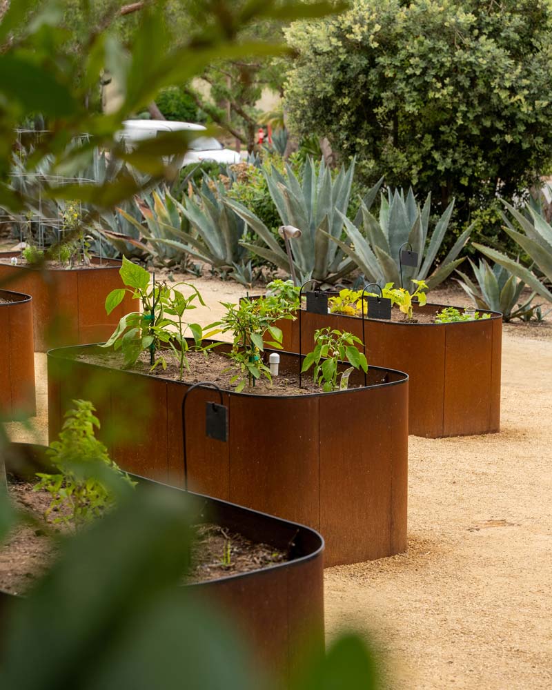garden boxes